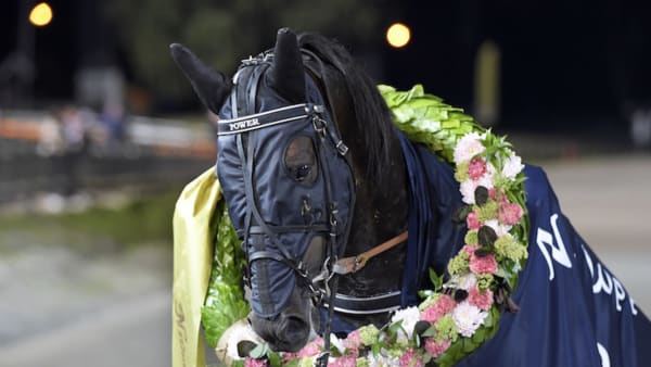 Foto: Lars Jakobsson/TR Bild