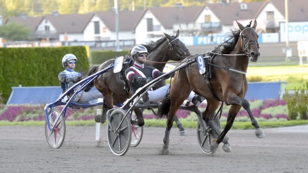 Foto: LARS JAKOBSSON / TR BILD