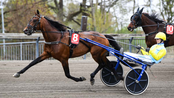 Foto: MALIN ALBINSSON / TR BILD