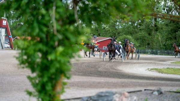Foto: THOMAS BLOMQVIST / TR BILD