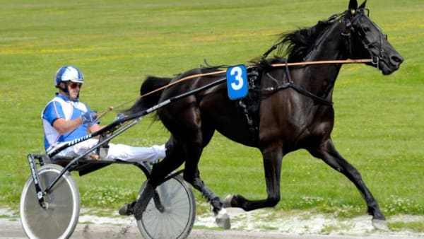 Foto: MARTIN LANGELS/ALN