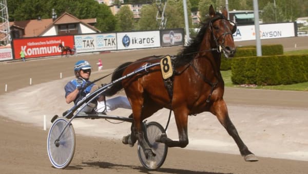 Foto: MICKE GUSTAFSSON