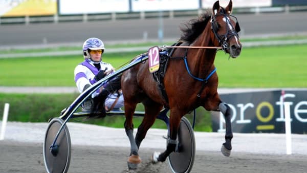 Foto: MARTIN LANGELS/ALN