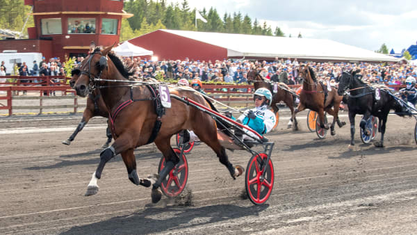 Foto: MIKAEL ROSENQUIST / TR BILD