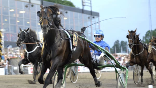 Foto: JÖRGEN TUFVESSON/ALN