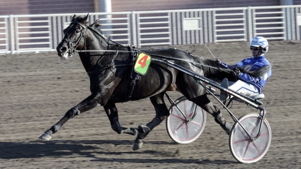 Foto: LARS JAKOBSSON / TR BILD