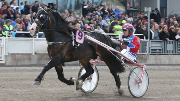 Foto: JEANNIE KARLSSON/TRAVRONDEN