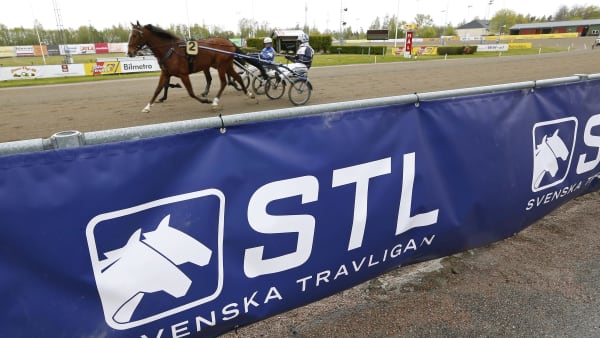 Foto: MARIA HOLMÉN / TR BILD