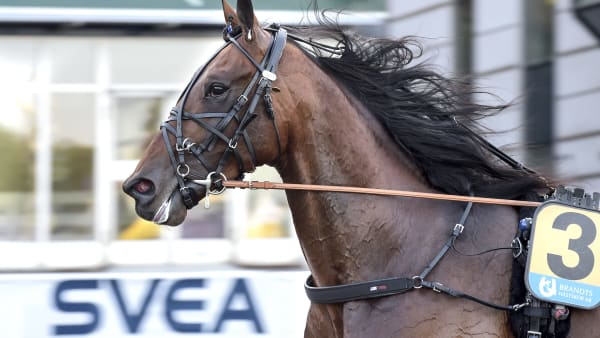 Foto: LARS JAKOBSSON / TR BILD