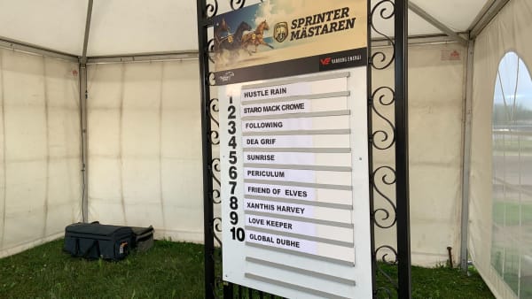 Foto: MATTIAS HOLMGREN/TR BILD