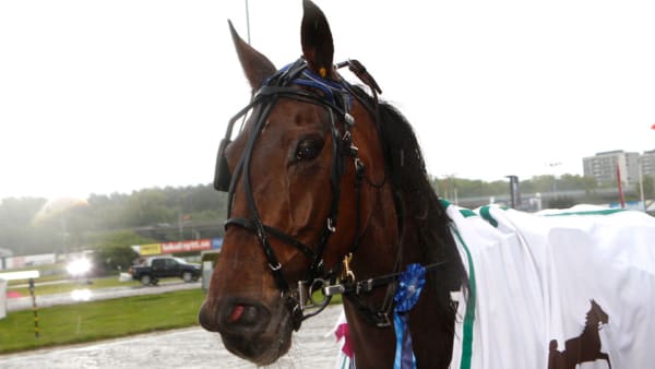 Foto: MICKE GUSTAFSSON/ALN