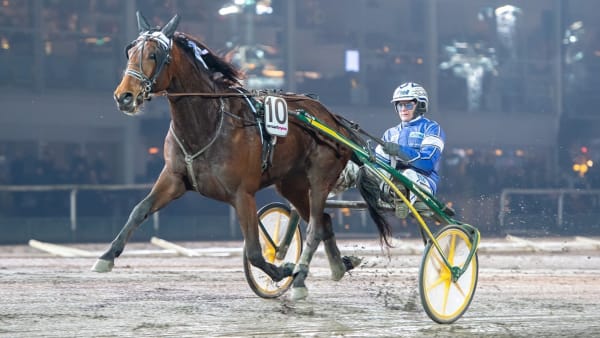 Foto: Mikael Rosenquist/TR Bild