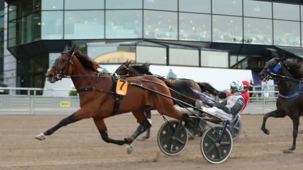 Foto: MARIA HOLMÉN / TR BILD