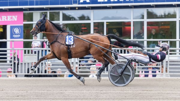 Foto: LENA EMMOTH / TR BILD