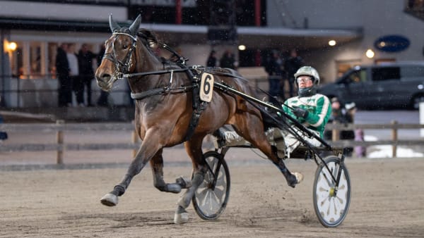 Foto: MIKAEL ROSENQUIST / TR BILD