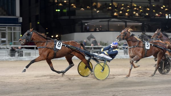 Foto: LARS JAKOBSSON / TR BILD