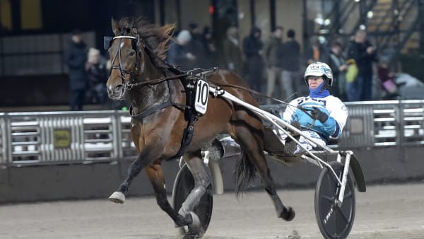 Foto: LARS JAKOBSSON / TR BILD