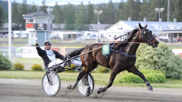 Foto: CHRISTER NORIN/ALN