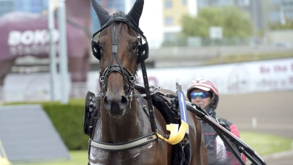 Foto: LARS JAKOBSSON / TR BILD