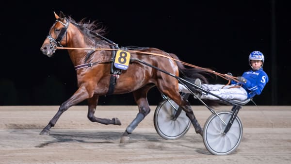 Foto: MIKAEL ROSENQUIST / TR BILD