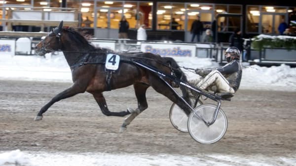 Foto: MICKE GUISTAFSSON/ALN