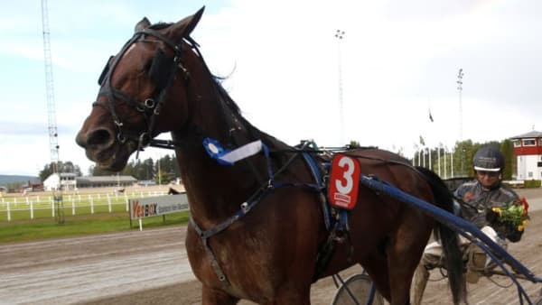 Foto: THOMAS GUSTAFSSON/ALN