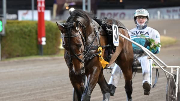 Foto: LARS JAKOBSSON / TR BILD