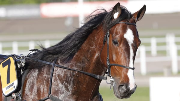 Foto: Micke Gustafsson/TR Bild