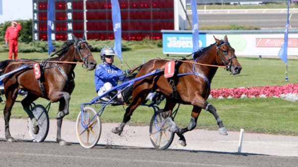 Foto: JEANNIE KARLSSON