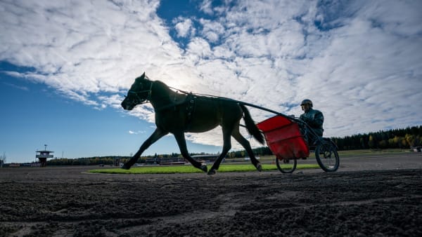 Foto: THOMAS BLOMQVIST / TR BILD