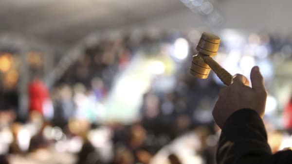 Foto: Mia Törnberg/TR Bild