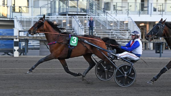 Foto: MALIN ALBINSSON / TR BILD