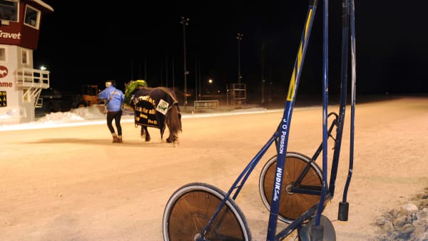 Foto: LARS JAKOBSSON / TR BILD