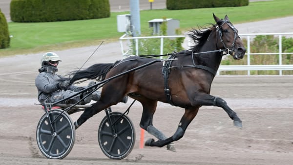 Foto: LARS JAKOBSSON / TR BILD