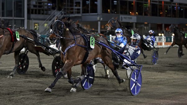 Foto: MATILDA ÖHRMAN / TR BILD
