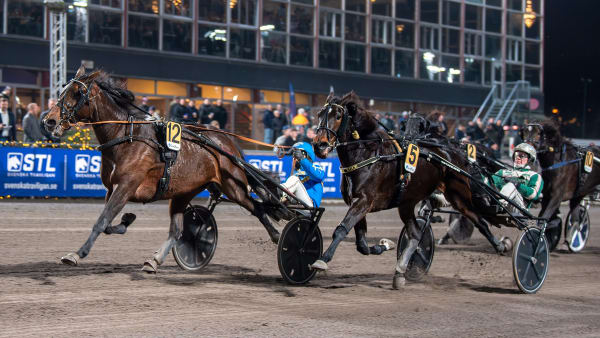 Foto: MIKAEL ROSENQUIST / TR BILD