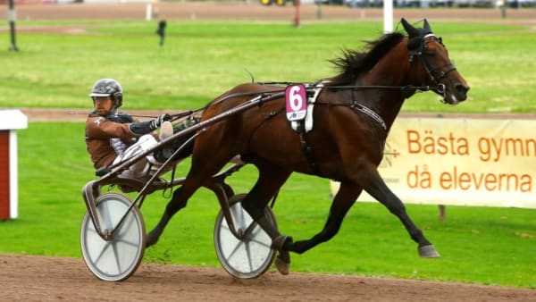 Foto: MICKE GUSTAFSSON/ALN