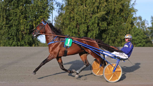 Foto: MARIA HOLMÉN / TR BILD