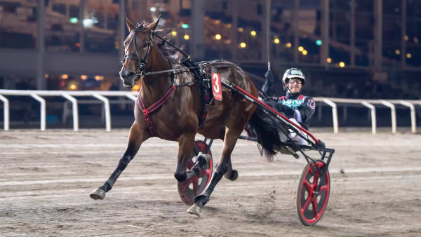 Foto: MIKAEL ROSENQUIST / TR BILD