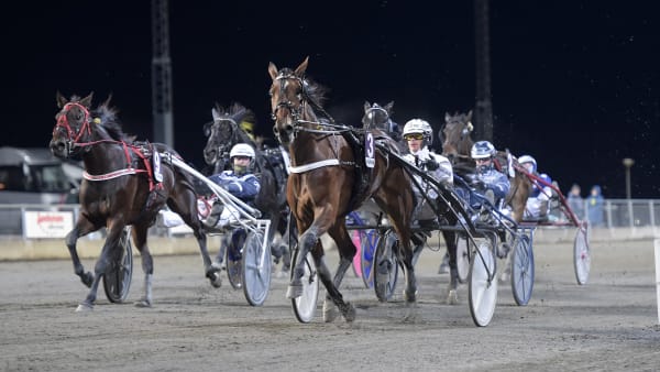 Foto: LARS JAKOBSSON / TR BILD