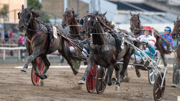 Foto: MIKAEL ROSENQUIST / TR BILD