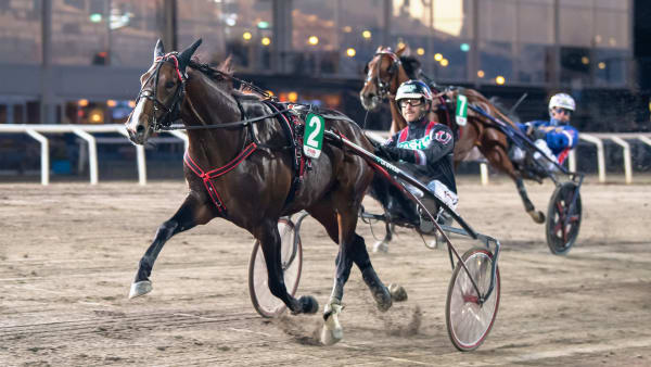 Foto: MIKAEL ROSENQUIST / TR BILD