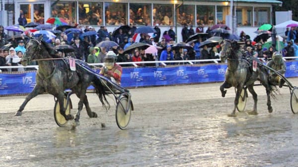 Foto: TOM JÖNEHAG/ALN