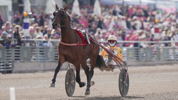 Foto: THOMAS BLOMQVIST / TR BILD