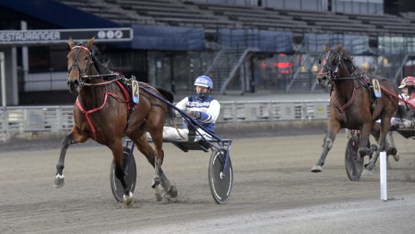 Foto: LARS JAKOBSSON / TR BILD