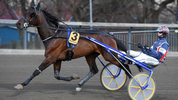 Foto: MALIN ALBINSSON / TR BILD