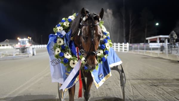 Foto: LARS JAKOBSSON / TR BILD