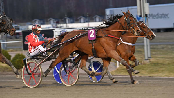 Foto: MALIN ALBINSSON / TR BILD