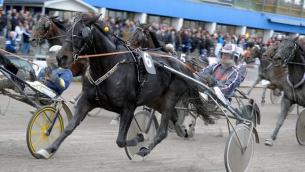 Foto: MARTIN LANGELS/ALN