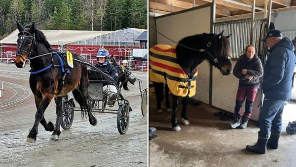 Foto: Årjängstravet